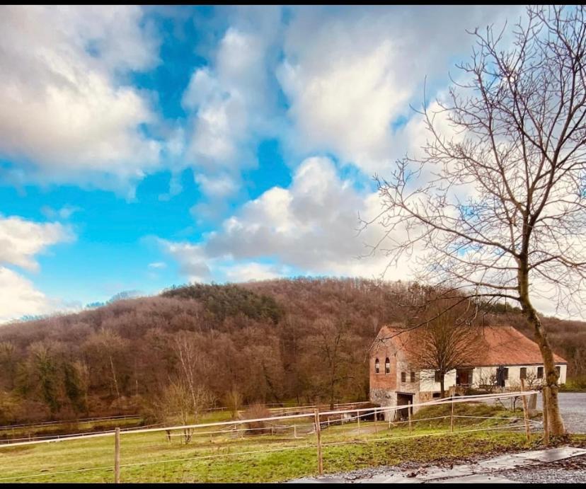 Le Ranch Des Aguesses Andenne Exterior photo
