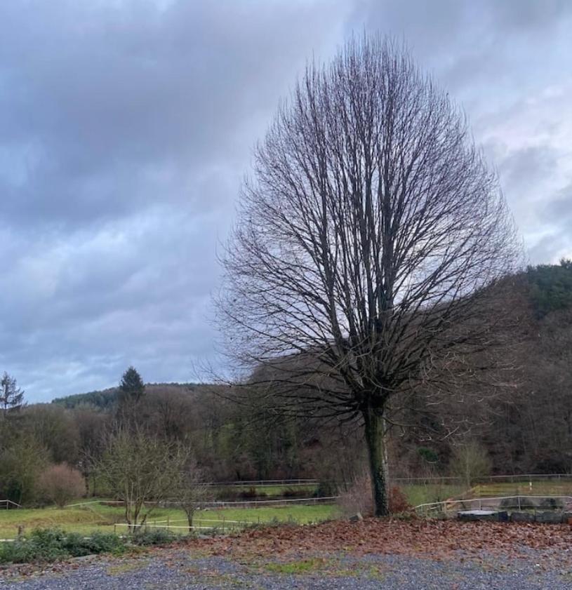 Le Ranch Des Aguesses Andenne Exterior photo