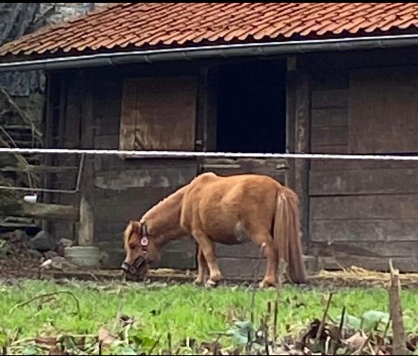 Le Ranch Des Aguesses Andenne Exterior photo