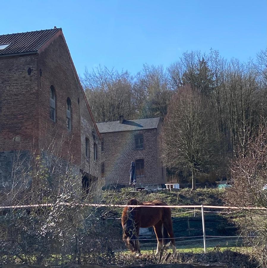 Le Ranch Des Aguesses Andenne Exterior photo