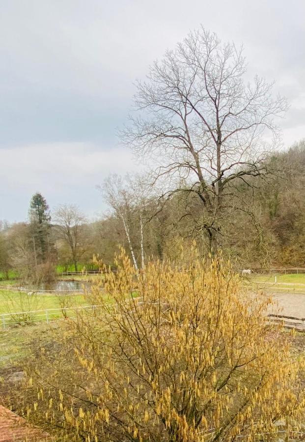 Le Ranch Des Aguesses Andenne Exterior photo