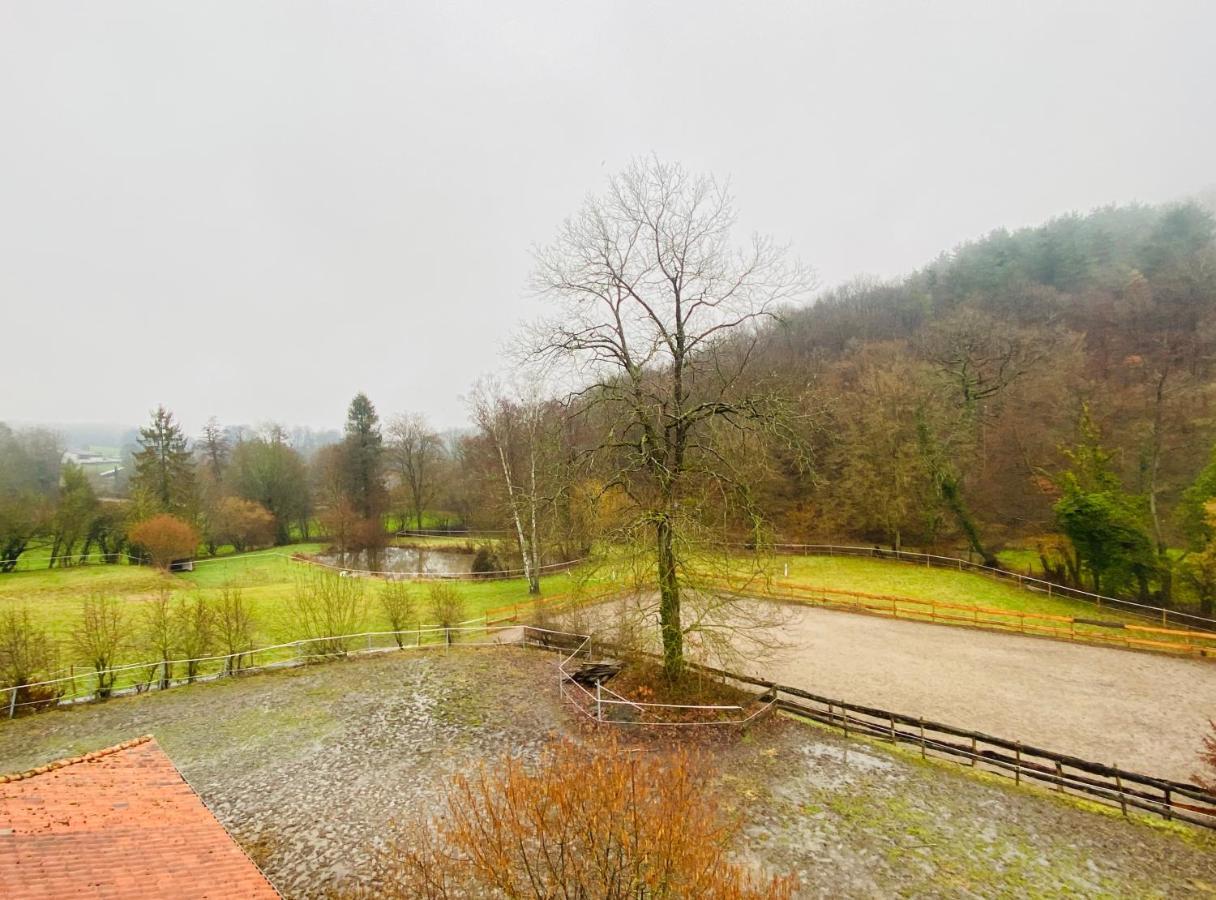 Le Ranch Des Aguesses Andenne Exterior photo