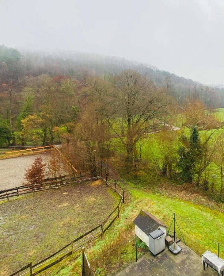 Le Ranch Des Aguesses Andenne Exterior photo